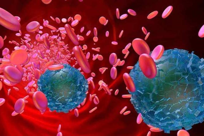 ilustrasi mikroplastik dalam darah gerustik