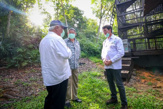 Dimulainya Pembangunan Pulau Kelawasan sebagai Pusat Suaka Orangutan 2 550