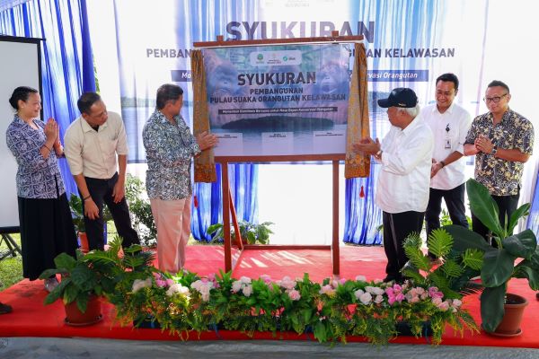 Dimulainya Pembangunan Pulau Kelawasan sebagai Pusat Suaka Orangutan